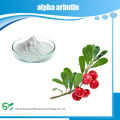 Alpha Arbutin Powder Número del CAS :. 84380-01-8 Alfa Arbutin